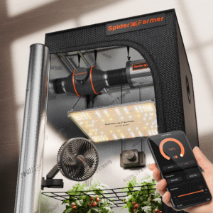 So Richten Sie das Beste Zelt für den Anbau einer Einzelnen Pflanze Ein? wie man ein led growbox set aufbaut