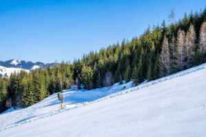 St. Moritz