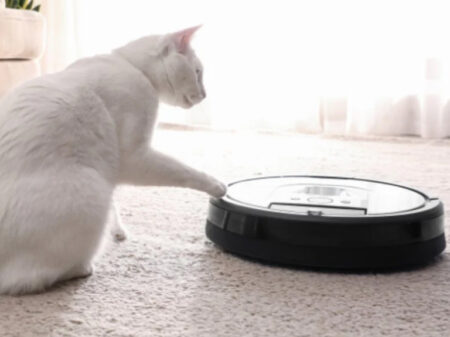 Tierhaare, gelöst: Worauf Sie bei einem Saugroboter achten sollten Tierhaare, gelöst: Worauf Sie bei einem Saugroboter achten sollten