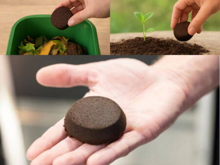 Pucks entsorgen